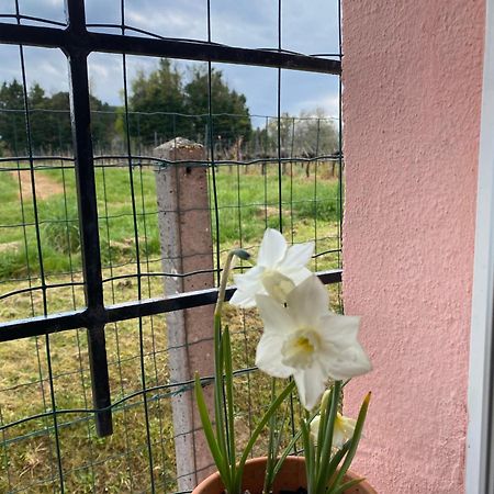 Le Bon Coin Appartement Périssac Buitenkant foto