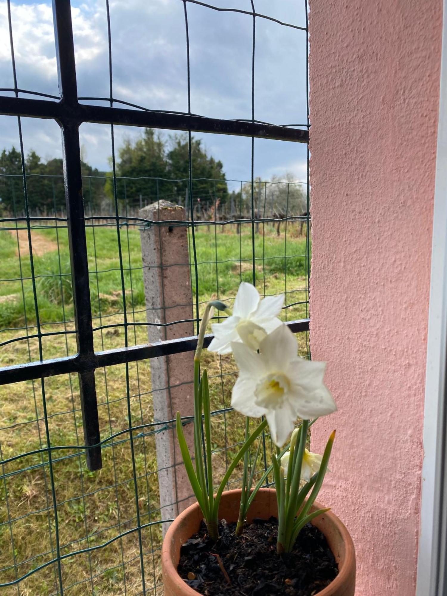 Le Bon Coin Appartement Périssac Buitenkant foto